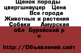 Щенок породы  цвергшнауцер › Цена ­ 30 000 - Все города Животные и растения » Собаки   . Амурская обл.,Бурейский р-н